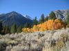 6fall-colors-10-06-001-copy